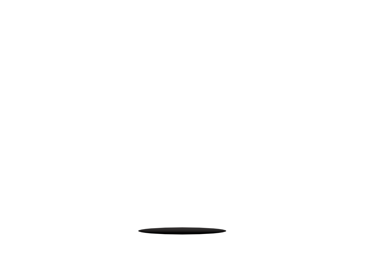 PT Computing, LLC